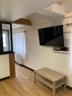 Télévision ou salle de divertissement dans l'établissement La Grenouillère