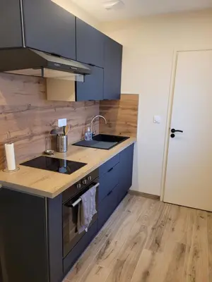 Cuisine ou kitchenette dans l'établissement Appartement cosy 2