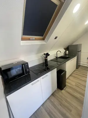 Cuisine ou kitchenette dans l'établissement coccon 7