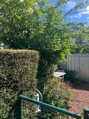 Jardin de l'établissement Appartement Cosy avec jardinet