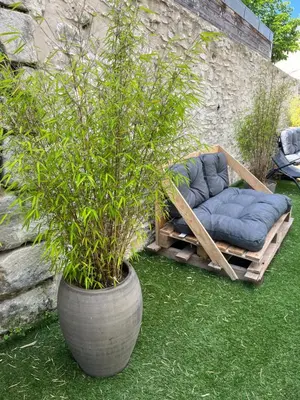 Jardin de l'établissement Le Faubourg Saint Martin Loft and Spa 1