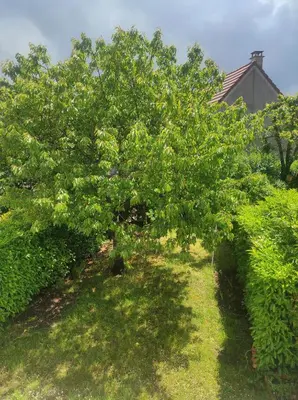 Jardin de l'établissement Vintage Crossroads Inn