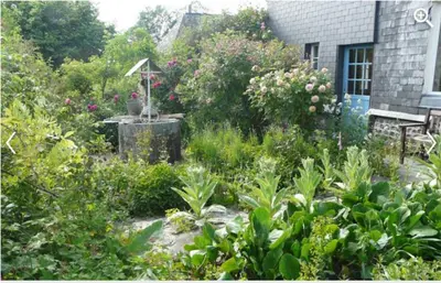 Jardin de l'établissement Le Neufbosc