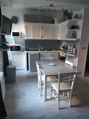 Cuisine ou kitchenette dans l'établissement Joli studio entre port et plage