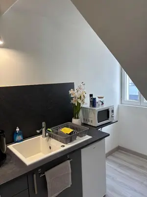 Cuisine ou kitchenette dans l'établissement Charming Plant Studio
