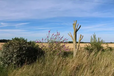 Paysage naturel près de l'appartement