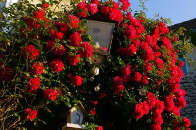 Jardin de l'établissement Parenthèse Vexinoise