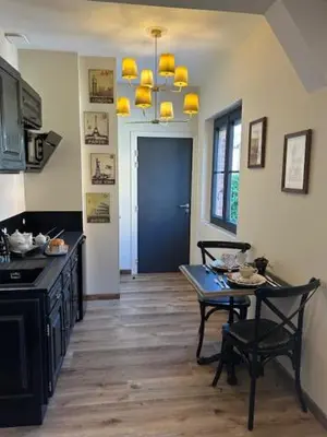 Cuisine ou kitchenette dans l'établissement STUDIO VOYAGE COLONIAL CLIMATISE chic