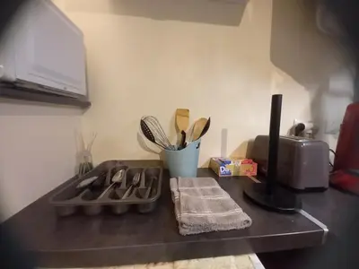 Cuisine ou kitchenette dans l'établissement Le Cocon