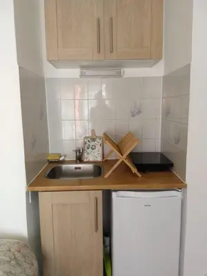 Cuisine ou kitchenette dans l'établissement Studio Port hypercentre