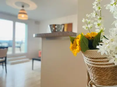Plan de l'établissement Terrasse & Confort à Rouen - 396