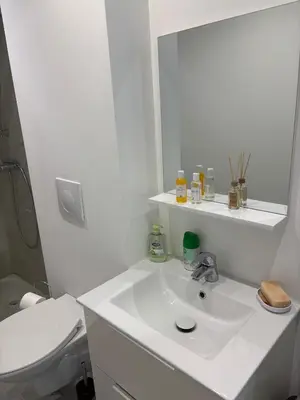 Salle de bains dans l'établissement Charmant T4 avec jardin, proche jardin des plantes