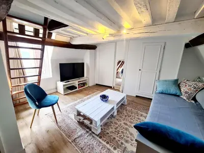 Télévision ou salle de divertissement dans l'établissement Appartement cosy & mezzanines