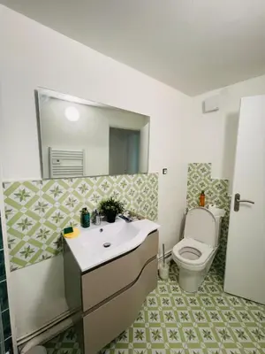 Salle de bains dans l'établissement Magnifique Appartement rénové en juin 2025