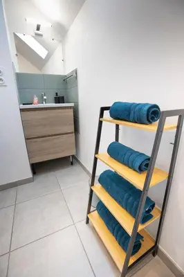 Plan de l'établissement Appartement spacieux et lumineux