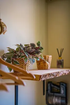 Plan de l'établissement Le Jardin Suspendu