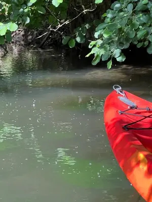Vue sur la rivière ou le fleuve situé(e) à proximité de la maison de vacances