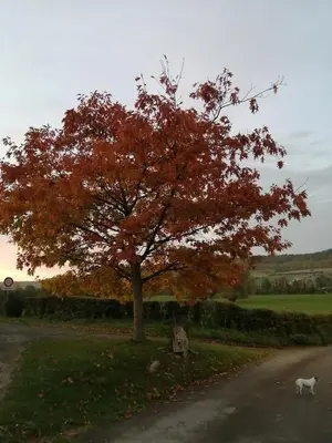 Plan de l'établissement tranquillité- jardin- WIFI- gite Père Louis