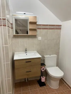 Salle de bains dans l'établissement gite 4 chambres avec salle de douche et WC privative