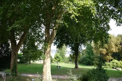 Jardin de l'établissement Studio jardin de l'hôtel de ville
