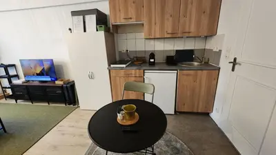 Cuisine ou kitchenette dans l'établissement Studio jardin de l'hôtel de ville
