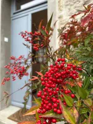 Jardin de l'établissement Studio rénové à 2 pas du centre-ville de Senlis