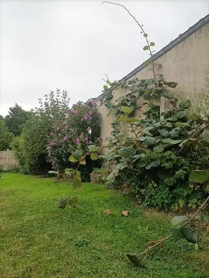 Jardin de l'établissement Chez Lullu
