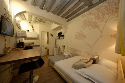 Télévision ou salle de divertissement dans l'établissement Rouen - Petit studio, hyper centre