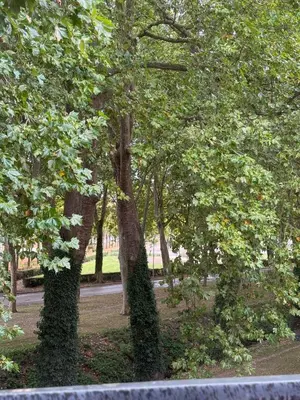Jardin de l'établissement La chambre du Parc