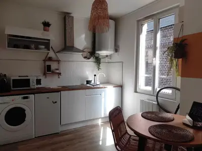 Cuisine ou kitchenette dans l'établissement Cabane Jungle Appt 2p cosy calme Rouen fac