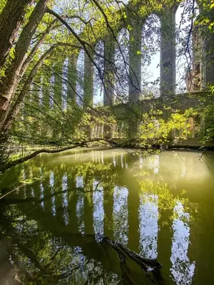 Paysage naturel près de l'appartement
