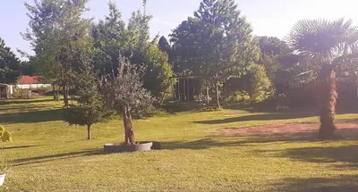 Jardin de l'établissement La Bergeronnette