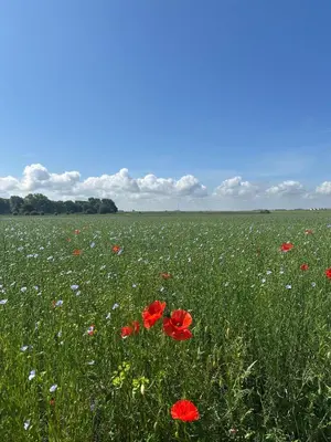 Paysage naturel près de l'appartement