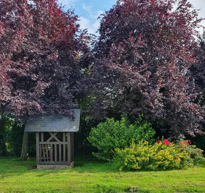 Jardin de l'établissement Gîte du Beau Callenge