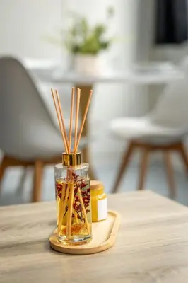 Nourriture dans l'appartement ou à proximité