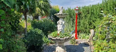 Jardin de l'établissement studio mil roses