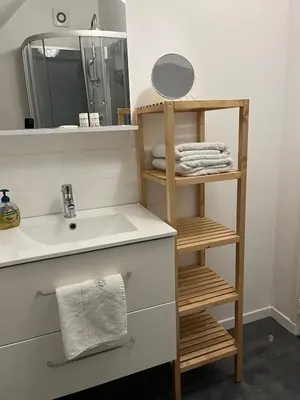 Salle de bains dans l'établissement Appt au pied de la cathédrale-parking dans la cour