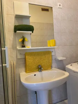 Salle de bains dans l'établissement Studio miroir-arrivée autonome-animal ok