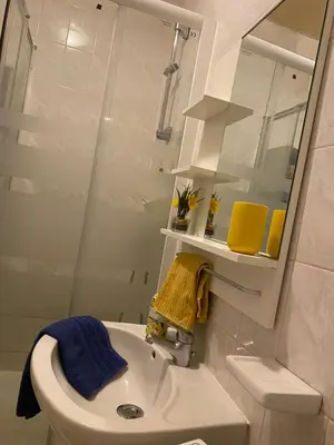 Salle de bains dans l'établissement Studio miroir-arrivée autonome-animal ok