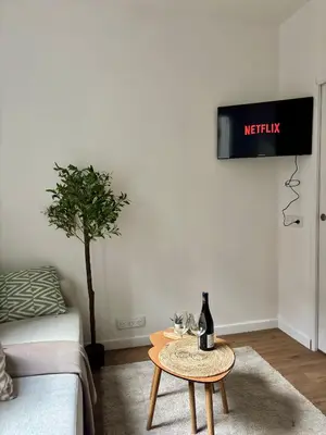 Télévision ou salle de divertissement dans l'établissement Le Rive Droite - T2 hypercentre de Rouen