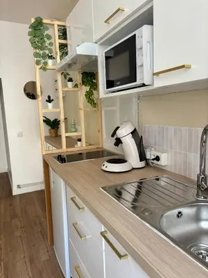 Cuisine ou kitchenette dans l'établissement Hypercentre - Le Vieux Marché