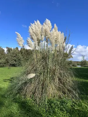 Paysage naturel près de la maison de vacances
