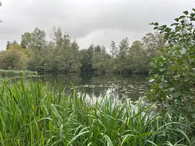 Paysage naturel près de la maison de vacances