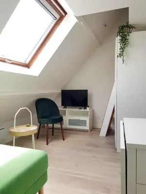 Télévision ou salle de divertissement dans l'établissement Le Fleury Studio Calme Proche de Rouen