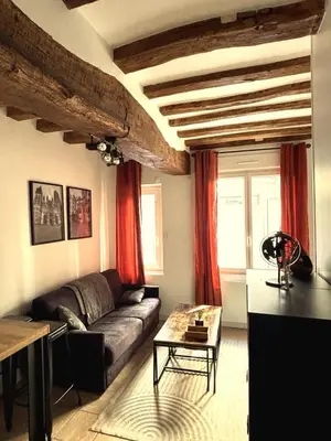 Coin salon dans l'établissement charmant appartement 4 pers hyper centre, au calme