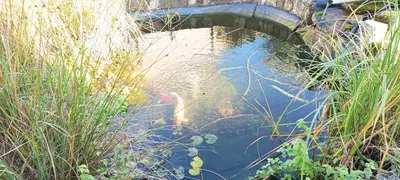 Vue sur la rivière ou le fleuve situé(e) à proximité de la maison d'hôtes
