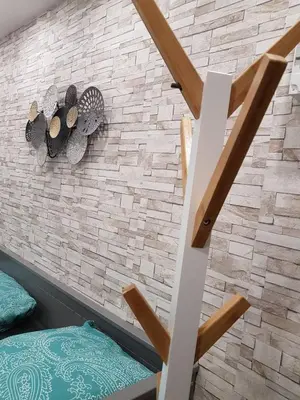 Plan de l'établissement MSK Cosy Beau Studio Persan Chambly Roissy CDG