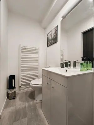 Salle de bains dans l'établissement Grand Studio Lumineux Proche Centre-Ville