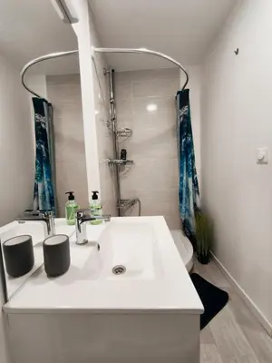 Salle de bains dans l'établissement Grand Studio Lumineux Proche Centre-Ville