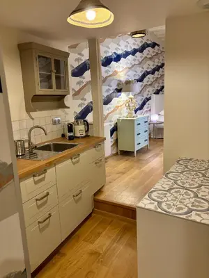Cuisine ou kitchenette dans l'établissement Maison Popeline